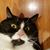 Hallie Taber's profile image
