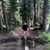 Terri Taft's profile image