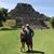David Stronach's profile image