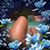 Kathy Kinchen Lightner Elmer's profile image