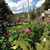 Jean Bruner's profile image