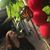 Tina Rosell's profile image