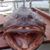 Kellen Becker's profile image