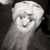 Rick Horton's profile image