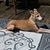Linda Gobrish's profile image