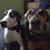 Francine Basciano's profile image