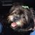 Cindi Sherman Stine's profile image