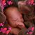 Marissa Vetrone's profile image