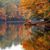 Mary Soltis's profile image