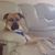 Mark Douglas Jones's profile image