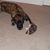 Jayne Clements's profile image