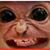 Victor M Rivera's profile image