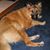 Loretta Mccausland's profile image