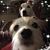 Jenny Brock Lowe's profile image