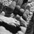 Sharon Day Edens's profile image