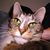 Jay Meisterbrau's profile image