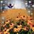 Terri B Mary's profile image