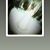 Marsha Marsha's profile image