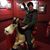 Bas Van Den Berg's profile image