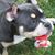 Debbie Conway Gonnello's profile image