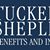 Tucker & Shepley Benefits & Insurance, Ltd.'s profile image