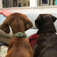 Jay Tipple's profile image