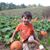 Melody Phillips Luscombe's profile image
