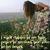 Peggy Larson's profile image