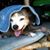 Barbara Ward's profile image
