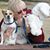 Susan Michael's profile image