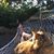Jennifer Jeanne's profile image