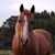 Jennifer Irby Nance's profile image