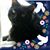 Melissa Schwefel's profile image