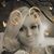 Misty Free's profile image