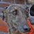 James Orth's profile image