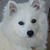 Mary Russell's profile image
