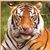 Judy Saad's profile image