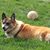 Nancy Oehlert's profile image