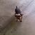 Sharon Grogg's profile image