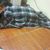 Carlos Quezada's profile image