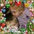 Carole Smith Nuckolls's profile image