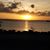 Arlene Colon-Cuellar's profile image