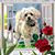 Susie Davis's profile image