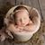 Shelby Roosendaal's profile image