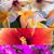 Joanne Goss's profile image