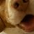 Jeff Barnes's profile image