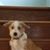 Cheryl Cernetich's profile image