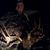 Jay Dearing's profile image