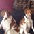 Linda Johnston Owen Hall's profile image