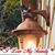 Belinda Sandness's profile image